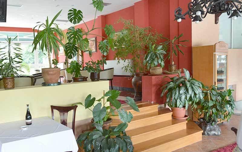 Motel Kneginja Cacak Bagian luar foto